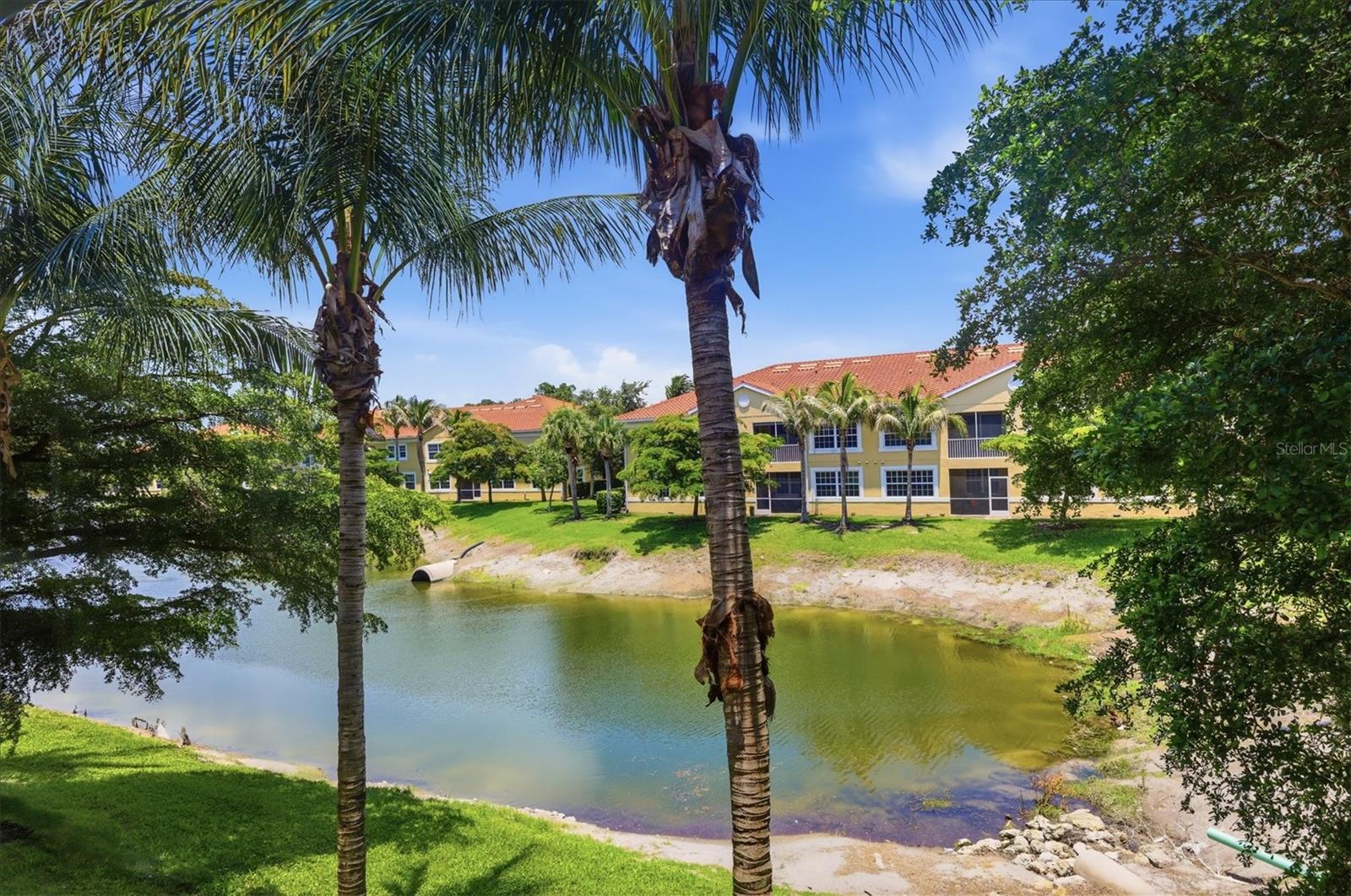 BAY STREET VILLAGE - Residential