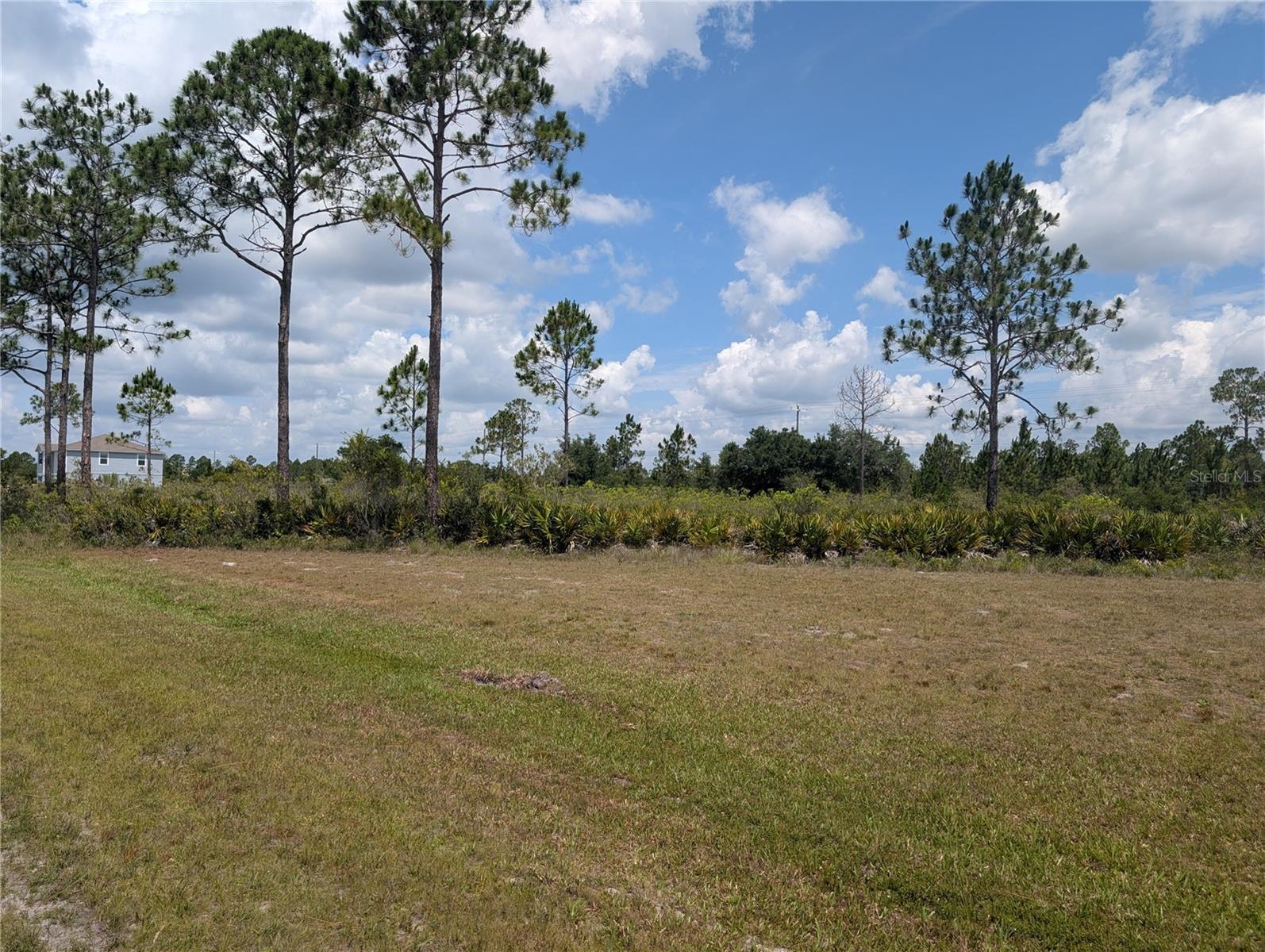 INDIAN LAKE ESTATES - Land