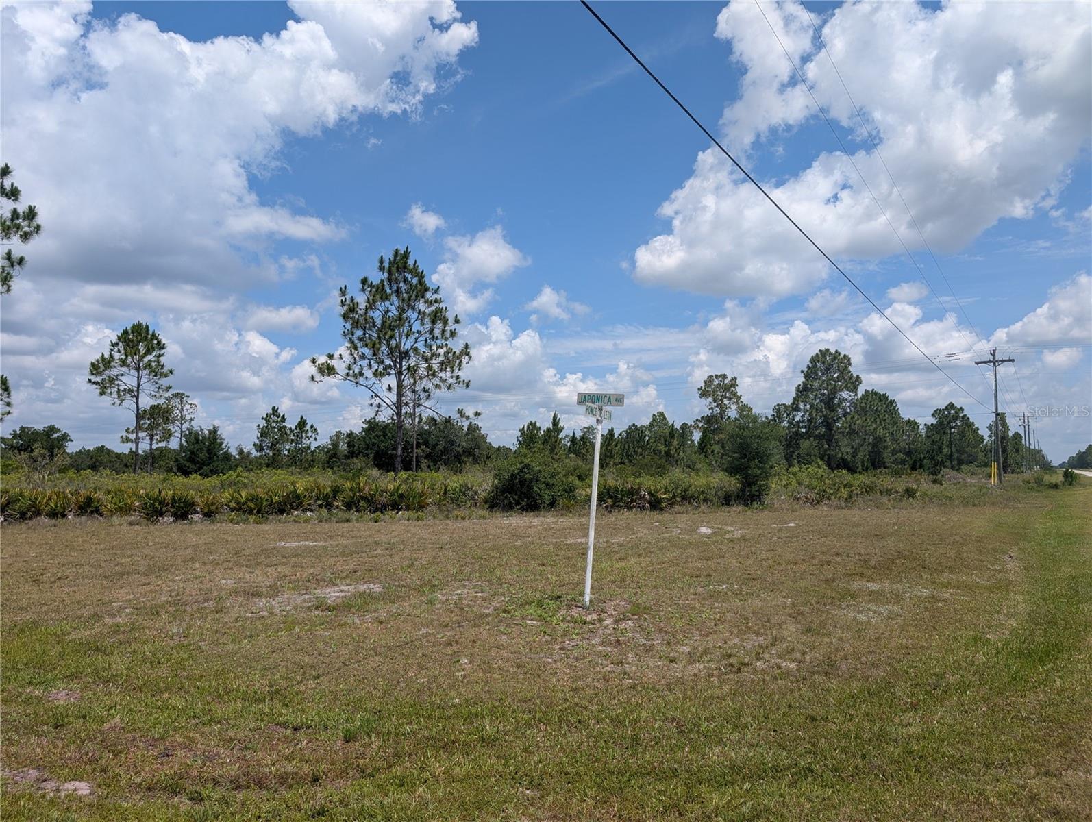 INDIAN LAKE ESTATES - Land