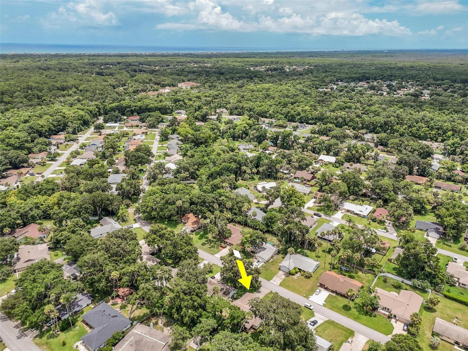 PALM COAST/BERNARD MDWS SEC 81 - Residential