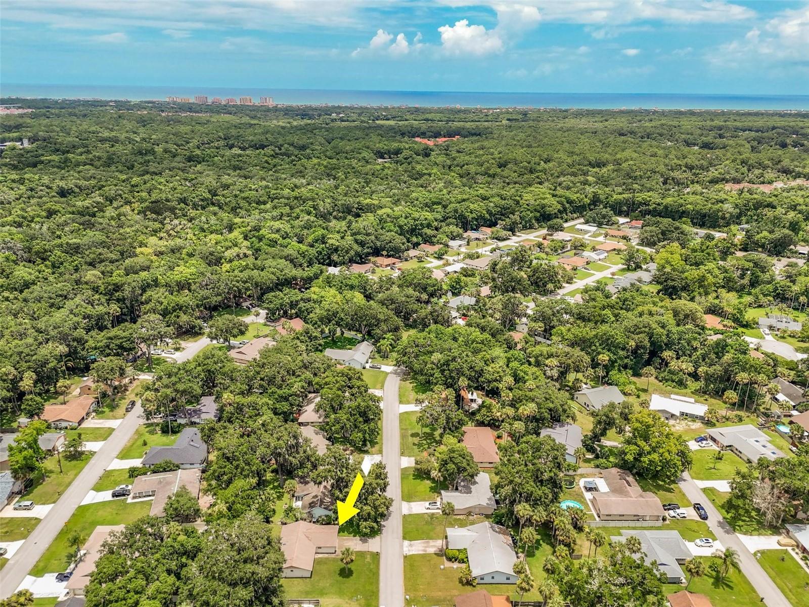 PALM COAST/BERNARD MDWS SEC 81 - Residential