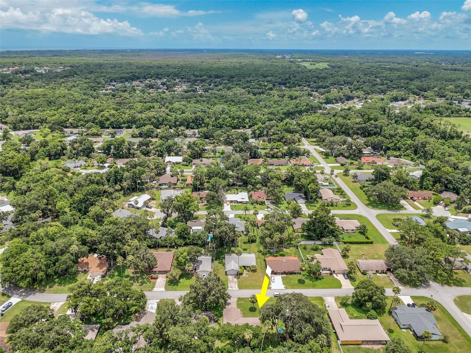 PALM COAST/BERNARD MDWS SEC 81 - Residential