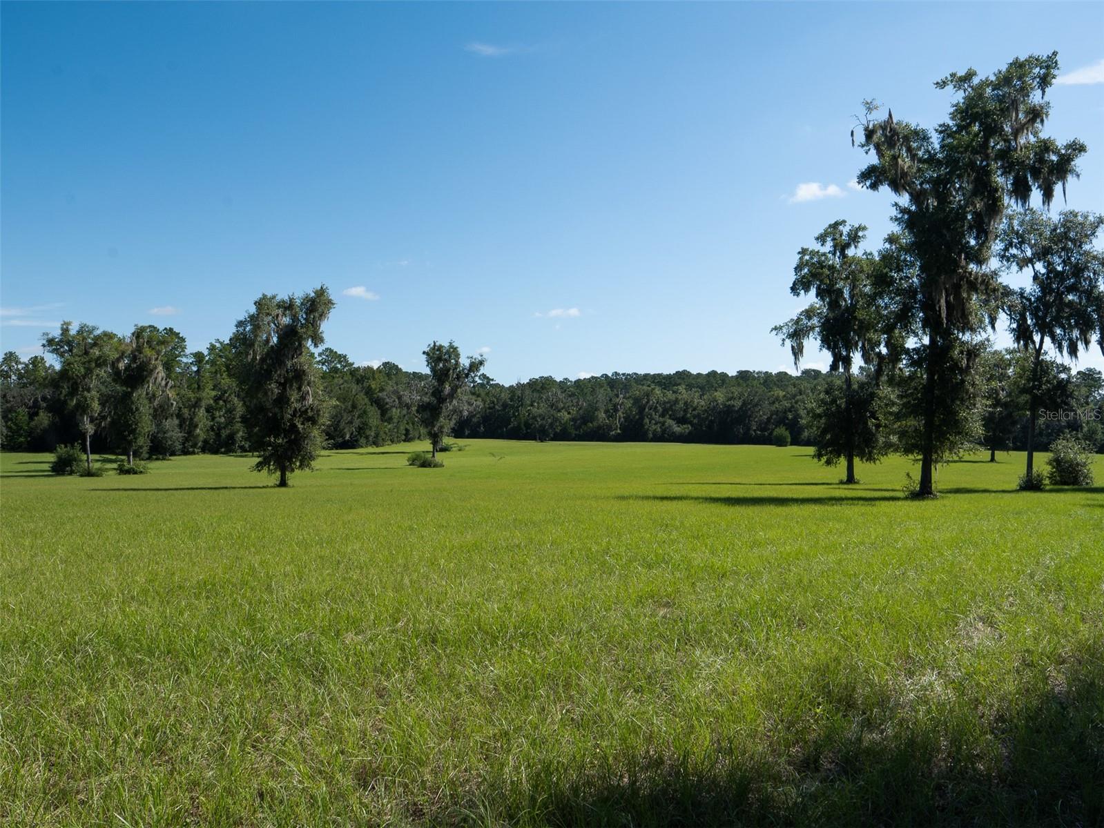 HAMPTON LANE - Land