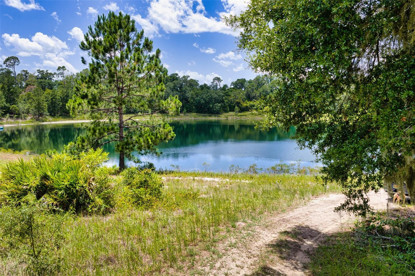 SILVER SPGS SHORES 31 - Land