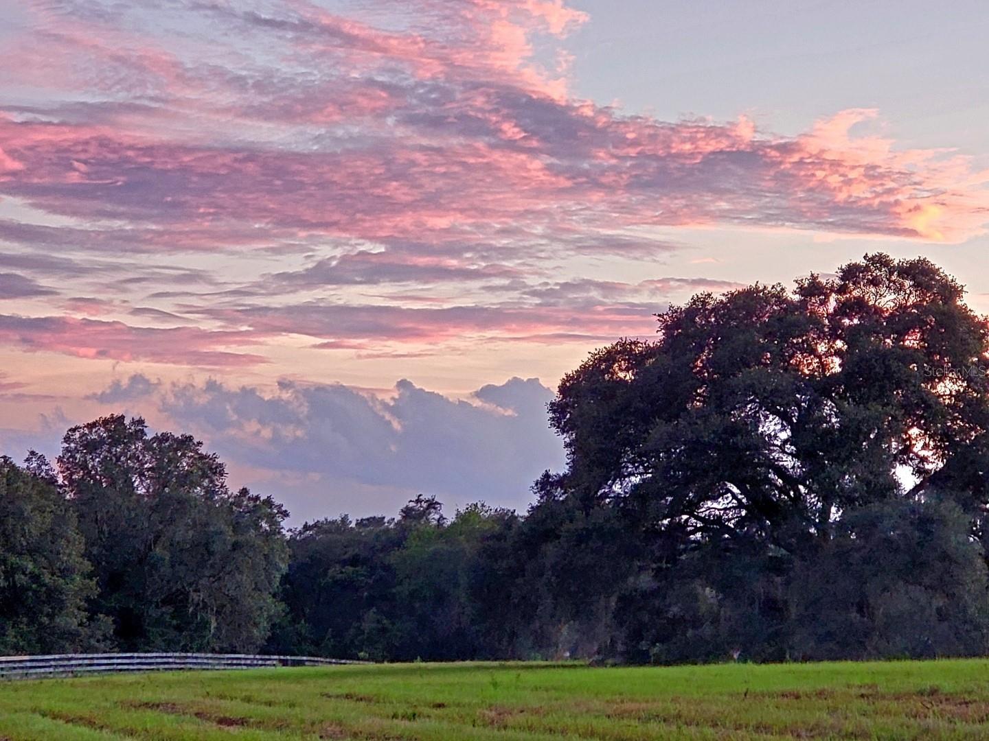 ESTATES AT COTTON PLANT - Land