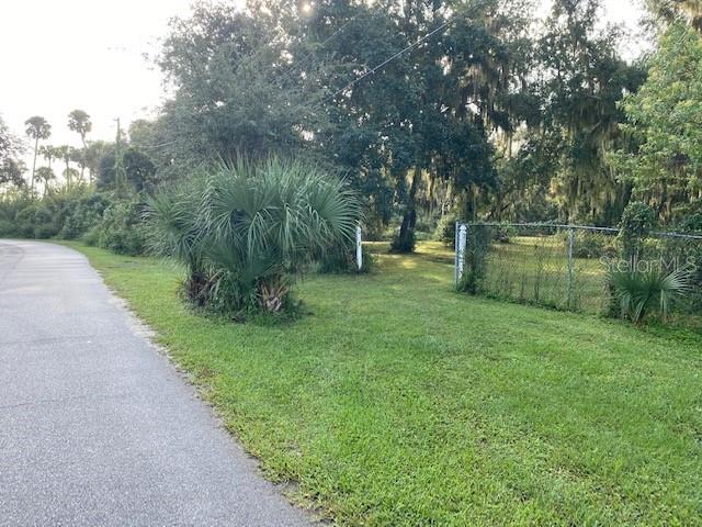 Over 3 acres of Fisherman's Paradise. Build your private country dream home just steps from Intracoastal Waterway and Mosquito Lagoon. Frontage on a paved public road, Palm Avenue. East property line boarders' a tidal saltwater estuary teeming with wildlife. This property is surrounded by old Florida palms trees and beautiful oaks. Walking distance to public Riverfront Park, Seminole Rest Park, Riverfront Restaurant, Burns Charter School, and all golf cart friendly. Minutes to New Smyrna Beach, only 45 minutes to Orlando. All facts and land use to be verified by buyer.