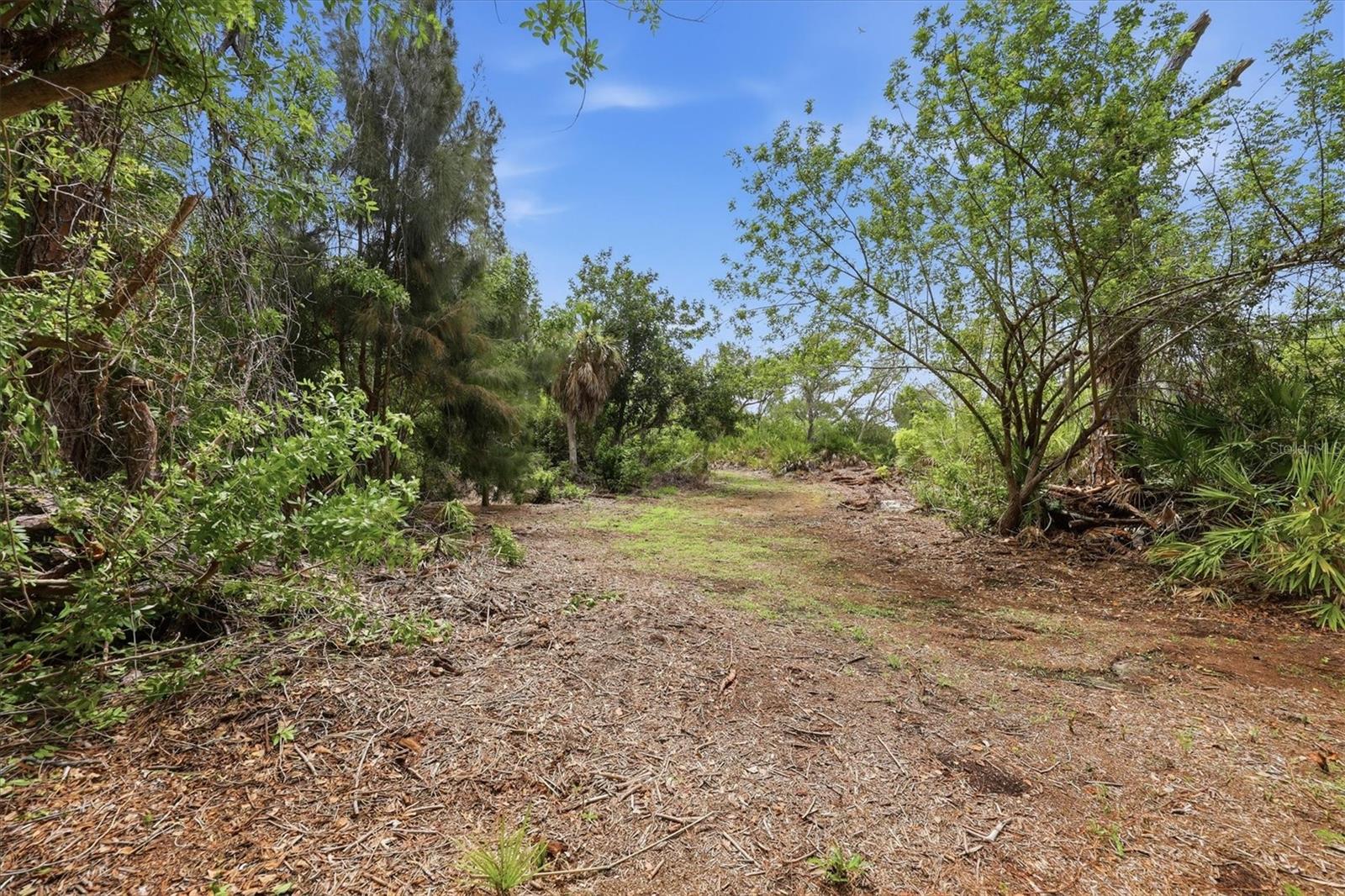 DEER CREEK ESTATES - Residential