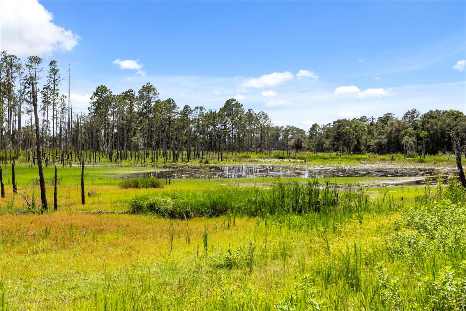 DELTONA LAKES UNIT 43 - Residential