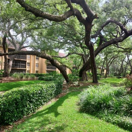 THE OAKS UNIT II A CONDO - Residential