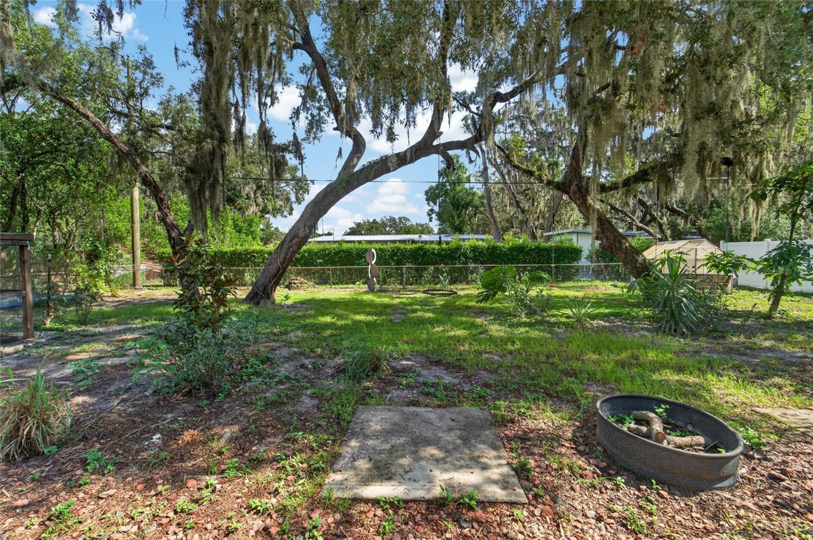 TEMPLE TERRACE RIVERSIDE - Residential