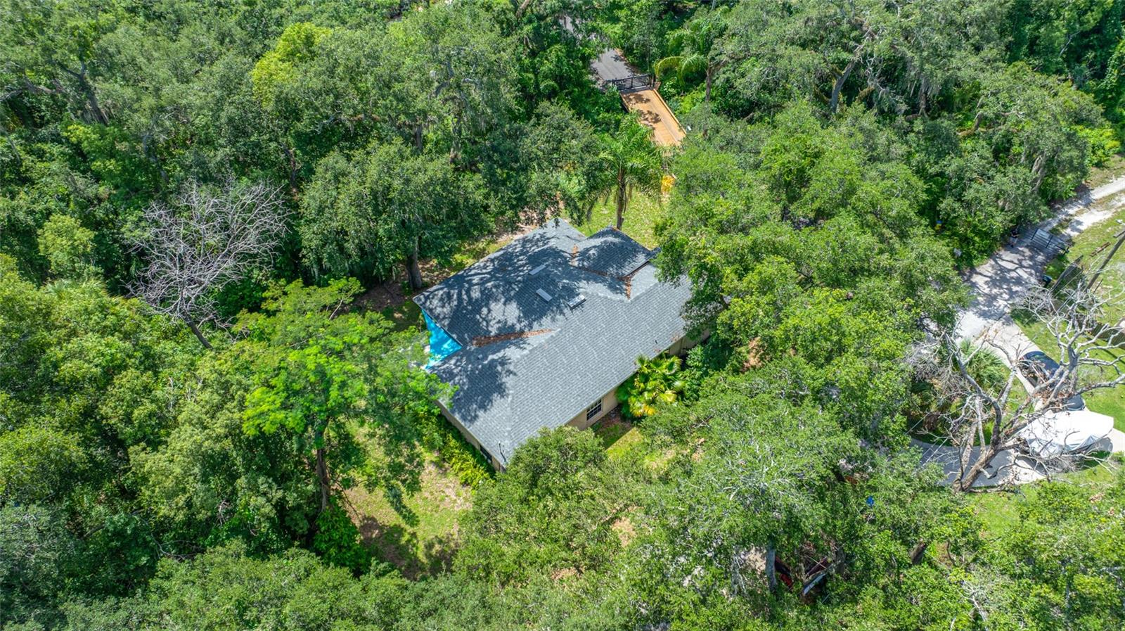 NORTH TAMPA HEIGHTS - Residential