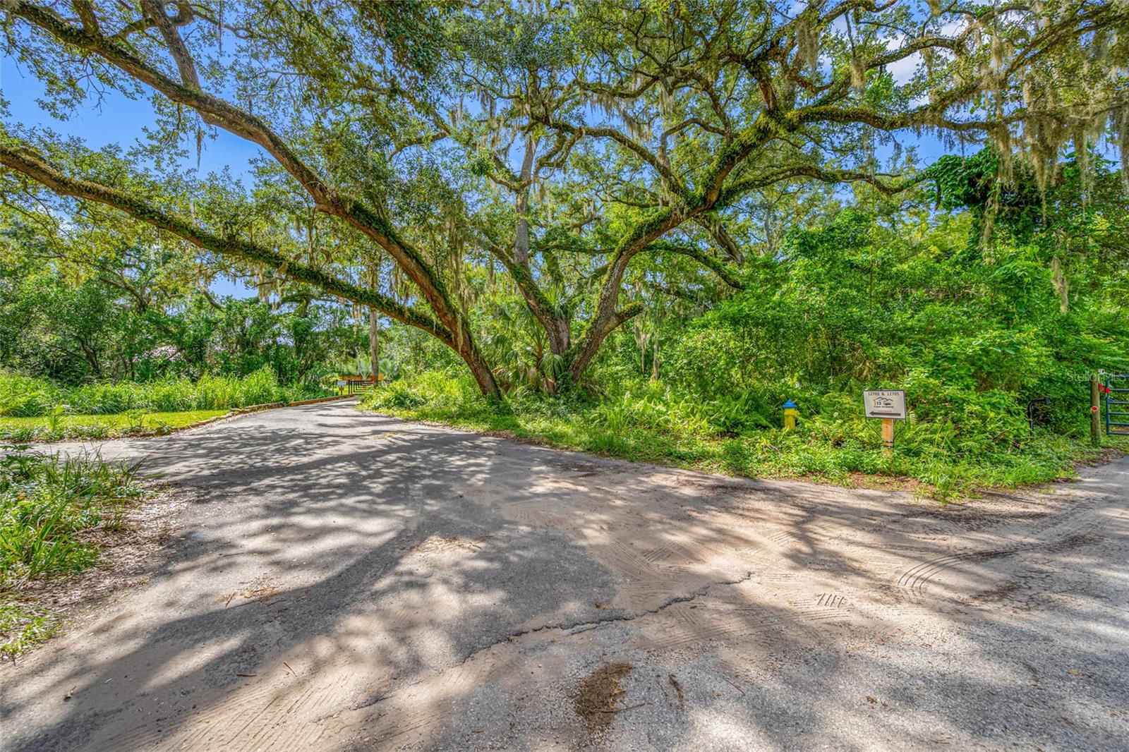 NORTH TAMPA HEIGHTS - Residential
