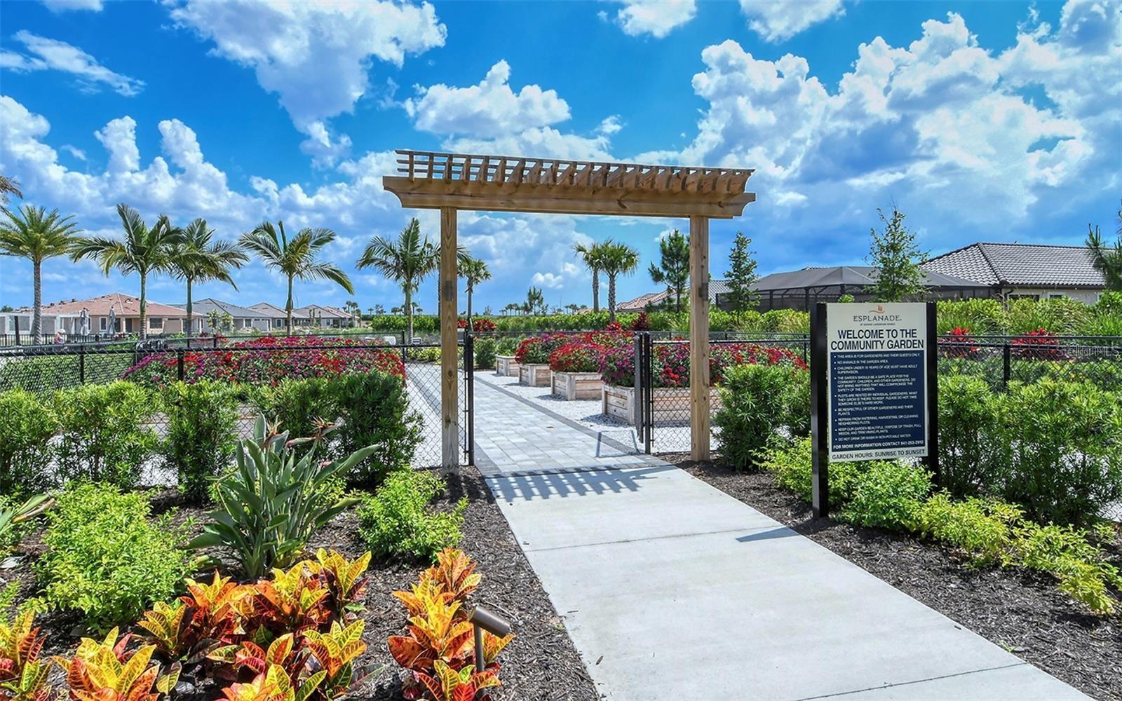 AZARIO ESPLANADE PH VI - Residential Lease