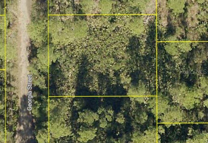 Discover the potential of this vacant lot nestled on Georgia Street in the quiet, rural community of Paisley, Florida. This unspoiled parcel offers a blank canvas for your vision, whether you’re looking to build a future home or invest in land. Measuring just under a quarter acre, the property is naturally wooded and unimproved, giving you the flexibility to clear and design the space to suit your needs.

Enjoy the peaceful surroundings and laid-back charm of Paisley while still being within reach of nearby towns, lakes, and outdoor recreation. With no existing improvements, you have the freedom to create something truly your own from the ground up.

Don’t miss this opportunity to own an affordable piece of Florida land with endless possibilities!