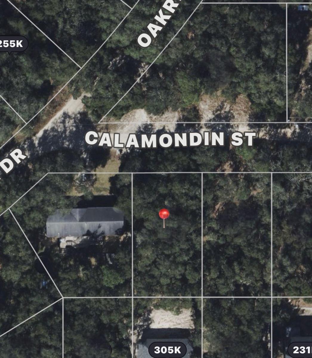 Virtually Staged. Nestled in the heart of Lady Lake, just minutes from the world-renowned The Villages, this 0.20-acre vacant parcel presents a rare opportunity to build in one of Central Florida’s fastest-growing and most desirable areas.

Surrounded by the charm of small-town Florida and the vibrant lifestyle of The Villages, this untouched, blank-canvas property offers endless potential for a custom home or investment hold. The lot is nestled in a peaceful setting with natural Florida landscape, providing privacy while still being conveniently close to modern amenities. With nearby access to shopping centers, restaurants, medical facilities, golf courses, and entertainment, the location blends quiet residential living with an active lifestyle.

Lady Lake is known for its welcoming community atmosphere, scenic surroundings, and proximity to countless outdoor activities including lakes, parks, and golf courses. Residents enjoy quick access to major roadways connecting to nearby cities such as Leesburg and Ocala, making commuting and day trips simple and convenient.

Whether you’re looking to build your Florida dream home, secure land in a high-demand market, or invest near one of the most successful retirement communities in the country, this Lady Lake parcel offers incredible upside in a thriving area.