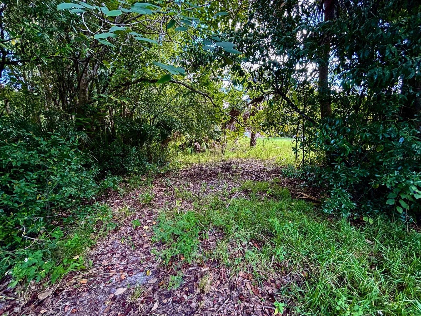 PRICE REDUCTION " Seller is Motivated " Rare Vacant Lot in the heart of Charming Historic Downtown Melrose Florida. With its cozy Small Town personality Melrose is peacefully inviting and a melting pot for all. Come and experience This lot is one of the last chances to own a piece of paradise. The lot is mostly cleared and has a updated SURVEY already done. All .44 acres are Hi & Dry, partially fenced and is adorned, Live Oaks, Bahia Brass and Florida Palm Trees. Positioned right in the Heart of Downtown Square your just blocks away from Nightly Live Music, Fresh Food Markets, Multiple Art Galleries, family friendly parks, World Class Restaurants and walking distance to OUR NEW 240 ACRE WILDFLOWERS MUSIC PARK!!
The all Stunning Melrose Bay with public parks. The Bay is attached to Majestic Lake Sante Fe! 6,000 acres where you can enjoy Sunsets, Kayaking, fishing, wake surfing, tubing, skiing, and even Sailing. Melrose is only 20 minutes to Gainesville, 25 minutes to Palatka and 30 minutes to Ocala. Drive-''Buys''are welcomed. No HOA!!
"" POSSIBLE OWNER FINANCING "" Call agent for terms.