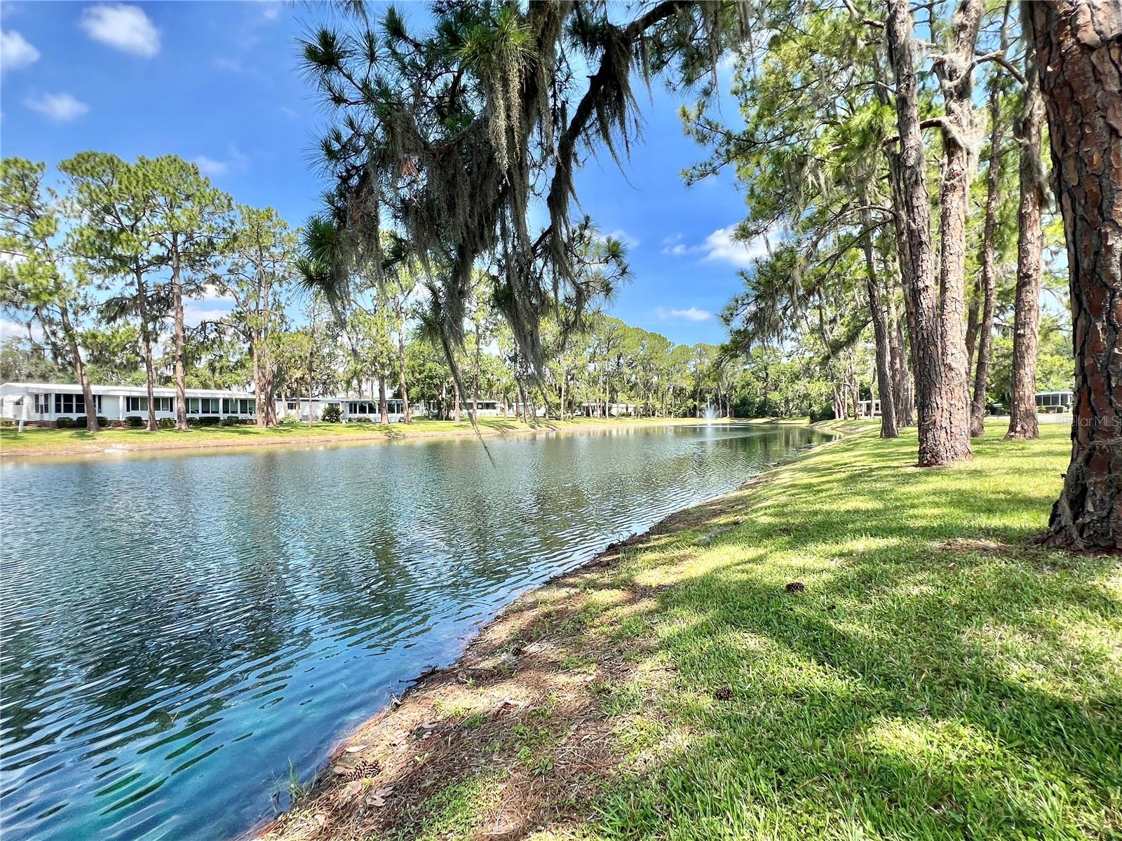 HAWTHORNE AT LEESBURG A COOP - Residential