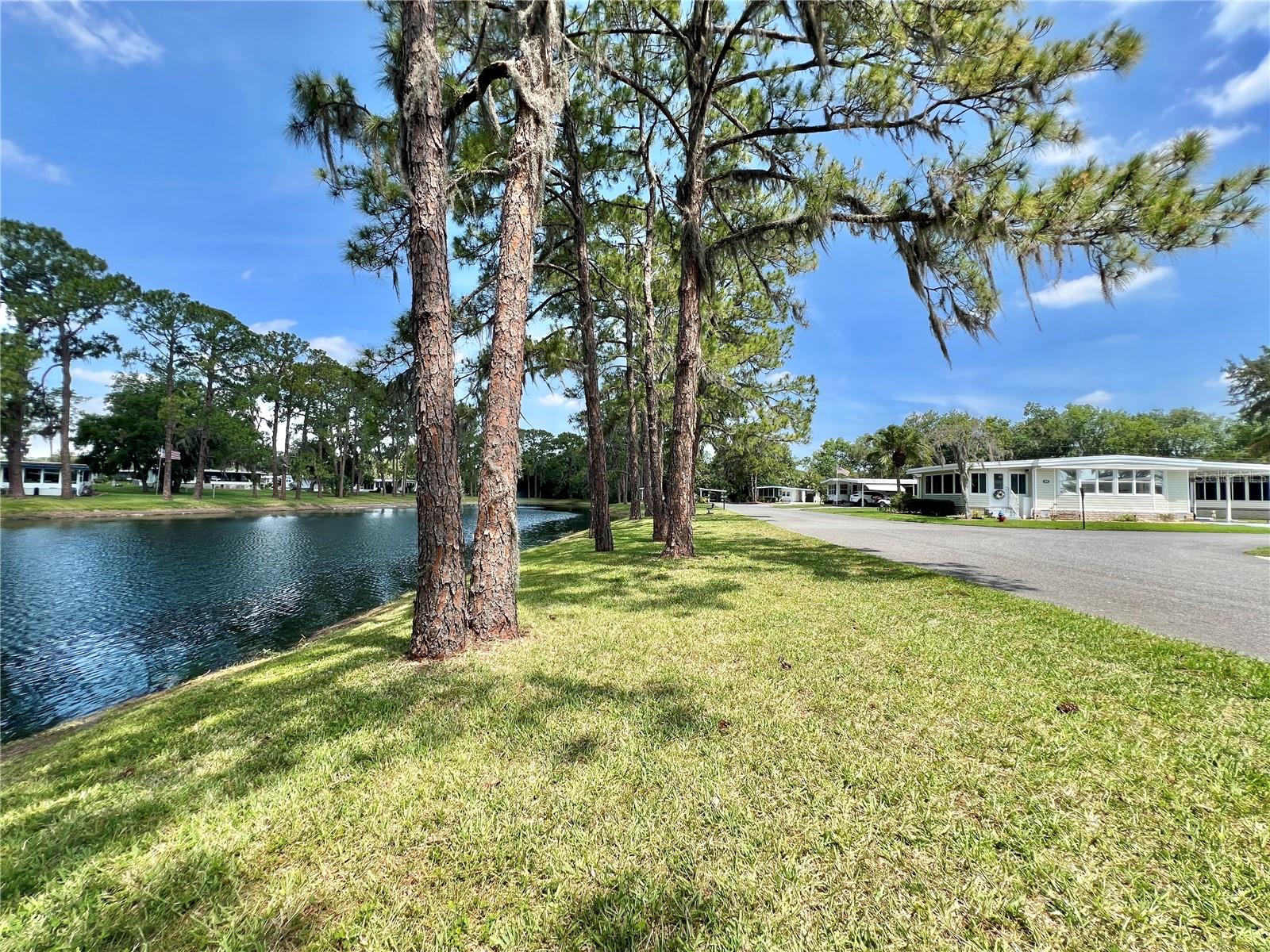 HAWTHORNE AT LEESBURG A COOP - Residential
