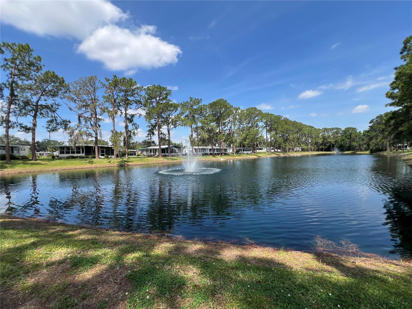HAWTHORNE AT LEESBURG A COOP - Residential