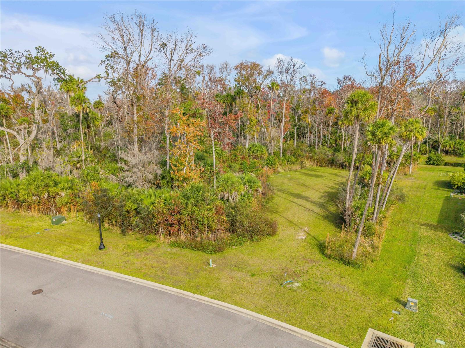 Choose Your Own Adventure at 2307 Legacy Lane. If you’ve been waiting for the right place to design your next chapter—not settle for it—welcome to a luxury estate homesite in Liberty Village, one of New Smyrna Beach’s most distinctive gated communities where the standard is elevated and every home is built with intention. If your dream is truly custom, this is your setting: approximately one acre of space surrounded by natural Florida landscape, mature trees, and calm waterways that bring a sense of privacy the moment you arrive. And if first impressions matter (they do), Liberty Village delivers with a grand gated entrance, a beautifully landscaped approach, and a signature centerpiece—a full-size Liberty Bell showcased in a striking three-story tower that sets the tone for the community’s curated, estate-style feel.
Now choose your path: if you want peace and seclusion, this homesite is tucked toward the back of the neighborhood, positioned to feel quiet and removed while still keeping you close to the best of New Smyrna Beach. If you’re the kind of buyer who designs around views, light, and outdoor living, you’ll love that the property backs to a quiet creek, offering a scenic backdrop and added privacy—ideal for planning your layout, lanai, and outdoor spaces around the setting. If convenience matters as much as beauty, you’ll appreciate city water and city sewer (no well, no septic), plus modern infrastructure including fiber-optic HDTV service and 100 Mbps high-speed internet included in the annual HOA dues. And if freedom is the whole point of building, here’s the best part: you can choose your own builder, giving you the flexibility to create a home that matches your taste, your priorities, and your lifestyle.  Liberty Village is intentionally limited—only 40 estate-style lots with very few remaining—so opportunities like this don’t come around often. If you’re ready to build in a true $1M+ setting—private, gated, beautifully positioned, and close to beaches, shopping, dining, golf, and major roadways—come stand here and picture what’s possible. Your adventure starts with the land… and this one is ready for your blueprint.