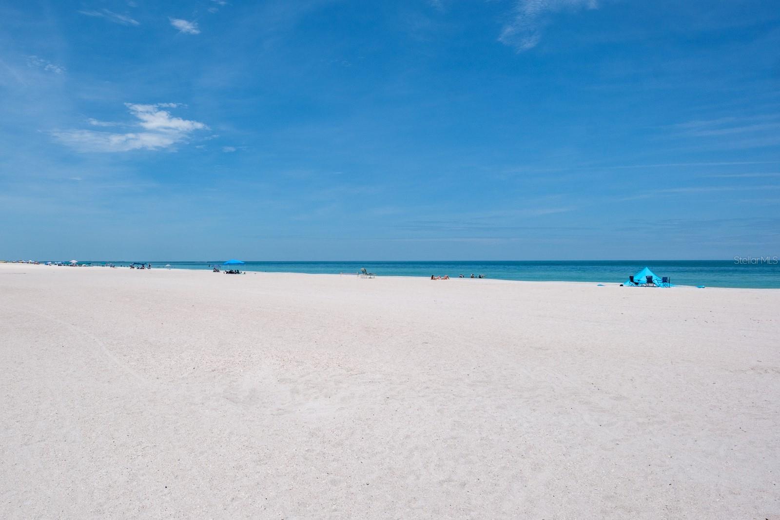 BAHIA MAR AT TREASURE ISLAND CONDO - Residential