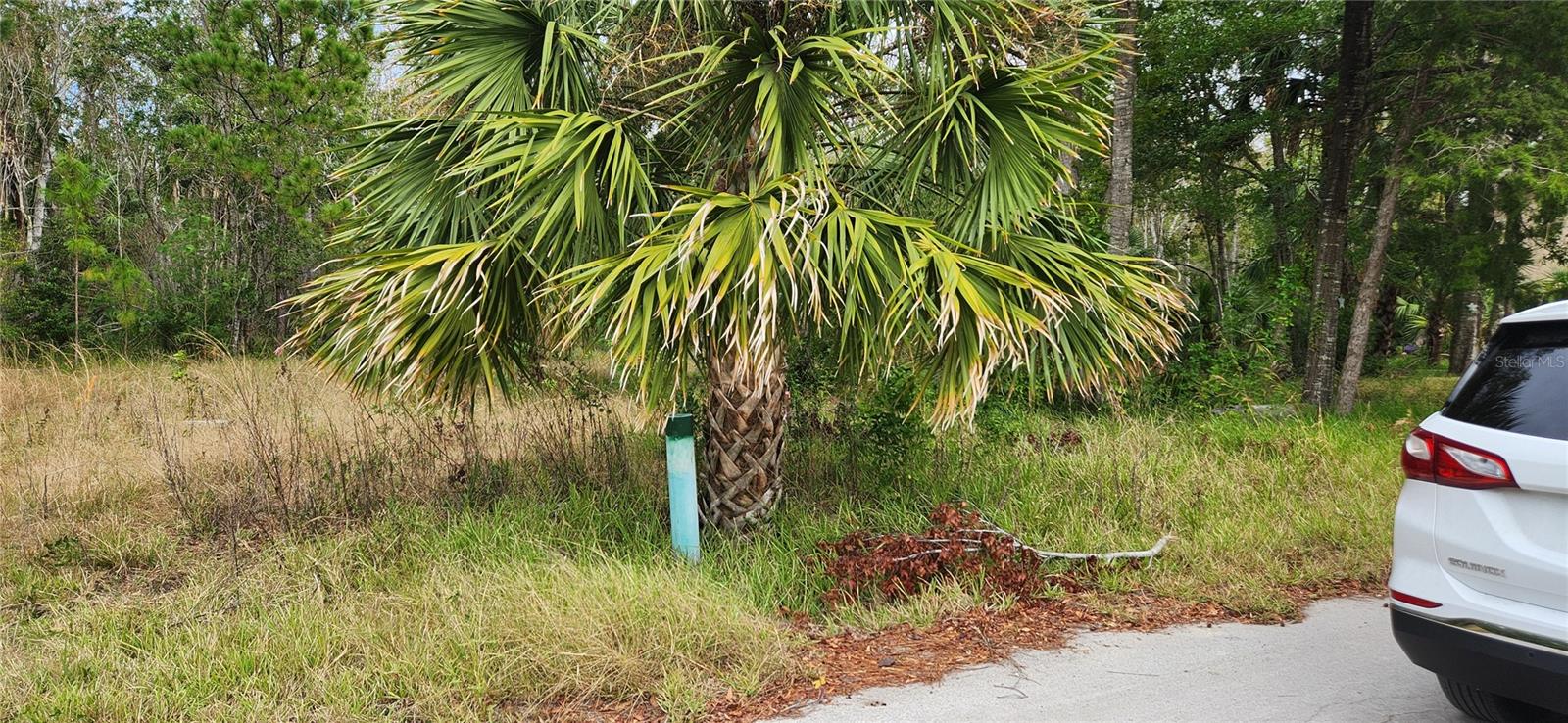 SEA PINES - Land
