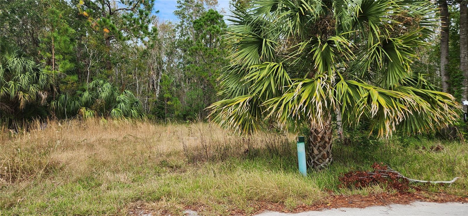 SEA PINES - Land