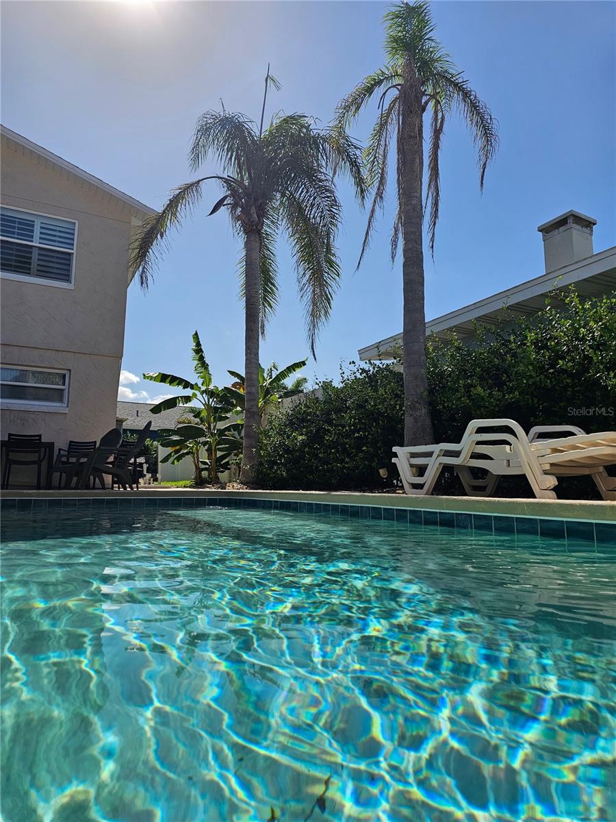 NEW SMYRNA BEACH - Residential Lease