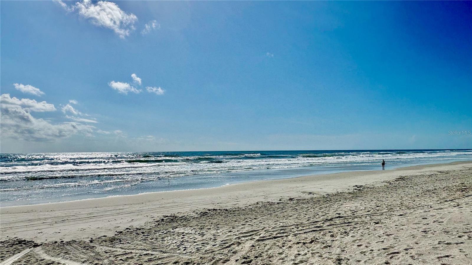 NEW SMYRNA BEACH - Residential Lease