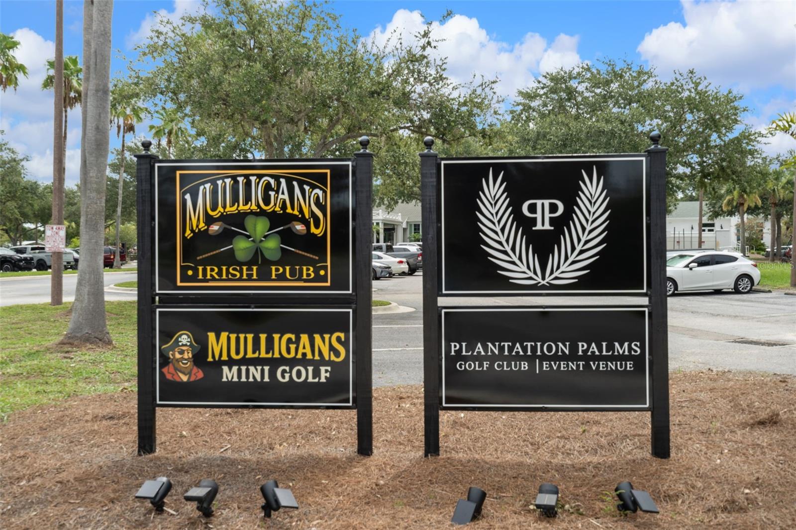 PLANTATION PALMS PH 06 - Residential