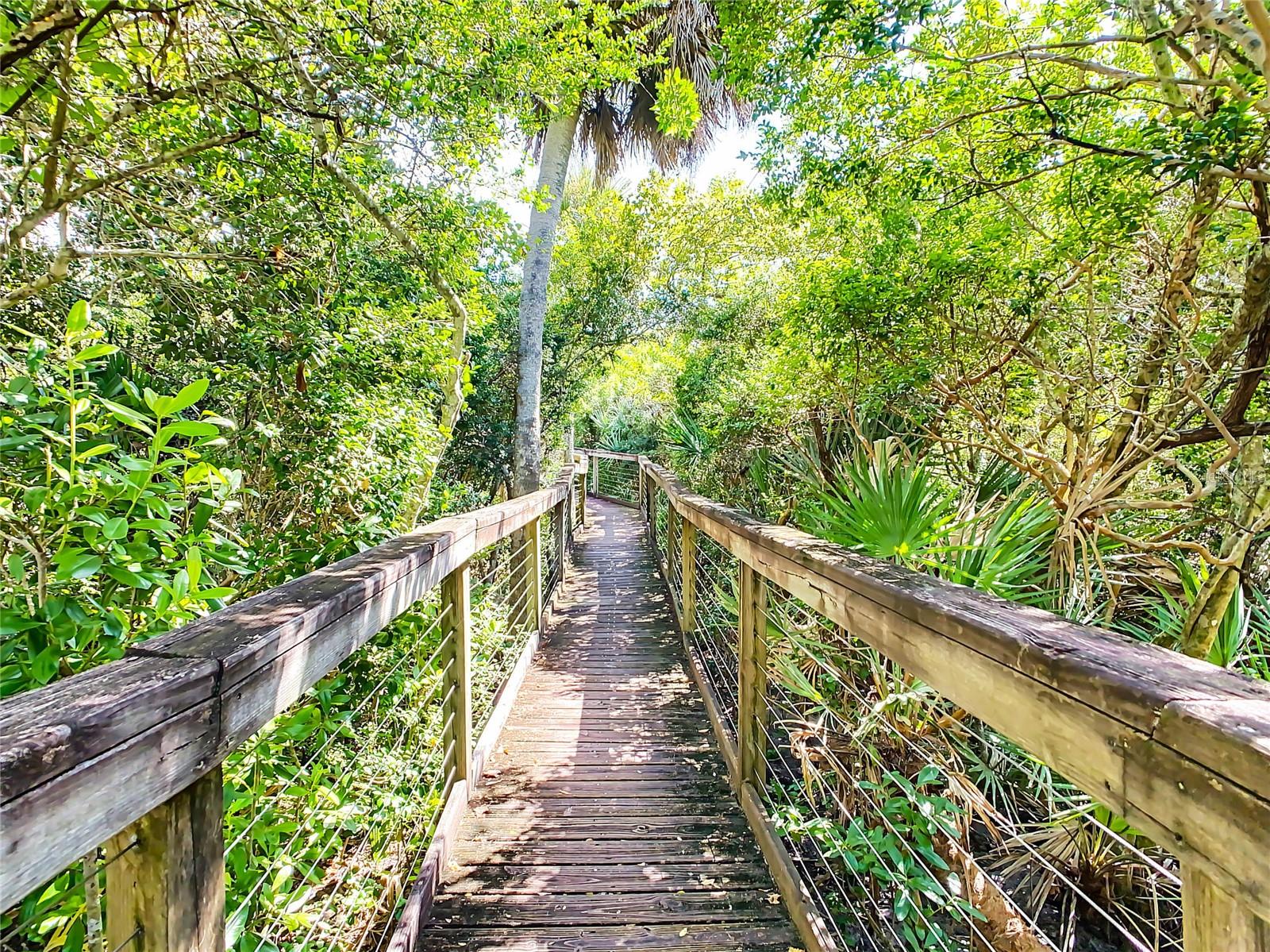 OCEAN WALK/NEW SMYRNA BCH BLDG - Residential