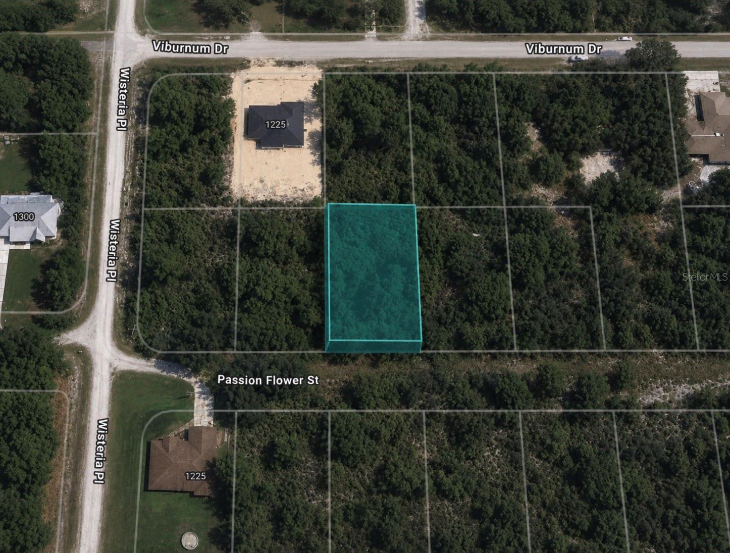 Wooded residential lot with direct road frontage on Passion Flower Street in a growing Sebring neighborhood. Surrounded by existing and newer homes, this property offers easy access and excellent potential for a future homesite or investment.

Cash purchase only. Buyer to verify zoning, utilities, and building requirements. Buyer pays all closing costs.