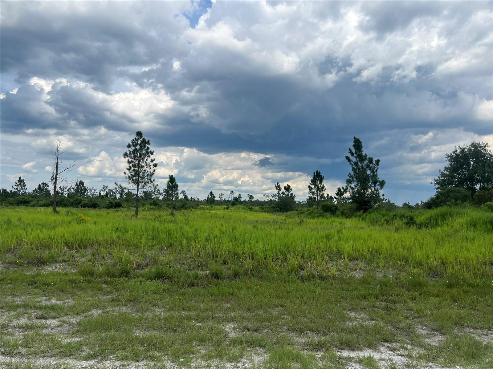 Owner financing available! Build your dream home on this 0.52-acre lot in Indian Lake Estates, a community known for golfing, fishing, and boating in the heart of Florida. Enjoy amenities including a beach, marina, boat ramp, pavilion with grills, the state’s longest freshwater fishing pier, plus tennis, basketball, clubhouse, fitness room, library, and pro shop. Surrounded by abundant wildlife and located just an hour from Orlando or Tampa, this property offers the quintessential Florida lifestyle at a price below market value Investing in Florida land is a sound decision for your future, whether you're planning to build a permanent home, a vacation retreat, a rental property, or hold onto the land as a valuable long-term asset to sell at a profit later.