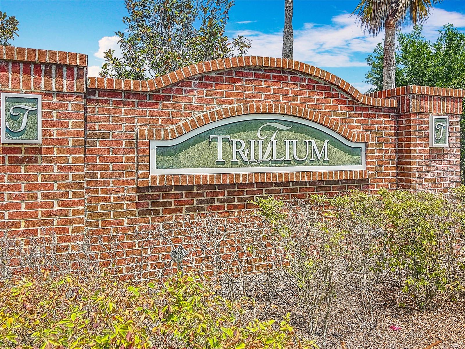 TRILLIUM VILLAGE B - Residential