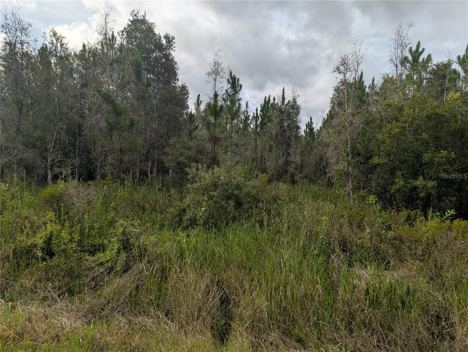 Discover the home of your dreams on this enchanting half-acre lot in the thriving lake community of Indian Lake Estates! This fantastic oasis for fishing, golfing, and boating right in the heart of Florida is just waiting for you to dive in! Located about 20 miles east of Lake Wales, this community is centered around the breathtaking 7,500-acre Lake Walk In Water, known for its world-class fishing and celebrated as one of Florida's premier bass-fishing lakes. You’ll revel in amenities like a sandy beach, a convenient boat ramp, a marina, and the longest freshwater fishing pier in the state—everything you need for endless fun and relaxation! The pier even boasts a charming pavilion equipped with propane grills and covered picnic tables, making it the perfect spot for unwinding by the water. And that’s just the beginning! Enjoy an impressive 18-hole golf course, basketball and tennis courts, and a sprawling 23,000 sq. ft. clubhouse that features a café, a post office, churches, a library, a fitness room, and a pro shop. Nature lovers, get ready for a thrill—wildlife abounds! Keep an eye out for deer, raccoons, turkeys, turtles, and an array of stunning birds. Plus, the incredible location puts Orlando and Disney just about an hour’s drive north, while Tampa, Busch Gardens, and the gorgeous Gulf beaches are just over an hour to the west. Not to mention, the iconic Bok Tower, a National Landmark, is conveniently nearby in Lake Wales. For adventure seekers, the Westgate River Ranch Resort and Rodeo is only six miles away—imagine the charm of an authentic Florida dude ranch with a full-service resort! From horseback riding and wildlife airboat tours to swamp buggy adventures and an exhilarating Saturday night rodeo, the excitement is right at your doorstep! The sprawling 1,700 acres also include a trap/skeet range, nature hikes, a petting farm, a marina, and even an Adventure Park complete with a zip line and rock climbing wall. With a variety of cowboy-themed accommodations ranging from cozy lodge guestrooms to luxurious teepees, there’s something for everyone! Come and experience the incredible lifestyle that awaits you at Indian Lake Estates—Polk County's best-kept secret! You absolutely won’t want to miss out!
