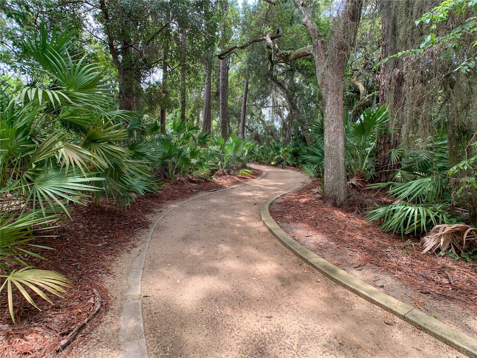 VILLAGE/PALM COAST PH II - Residential