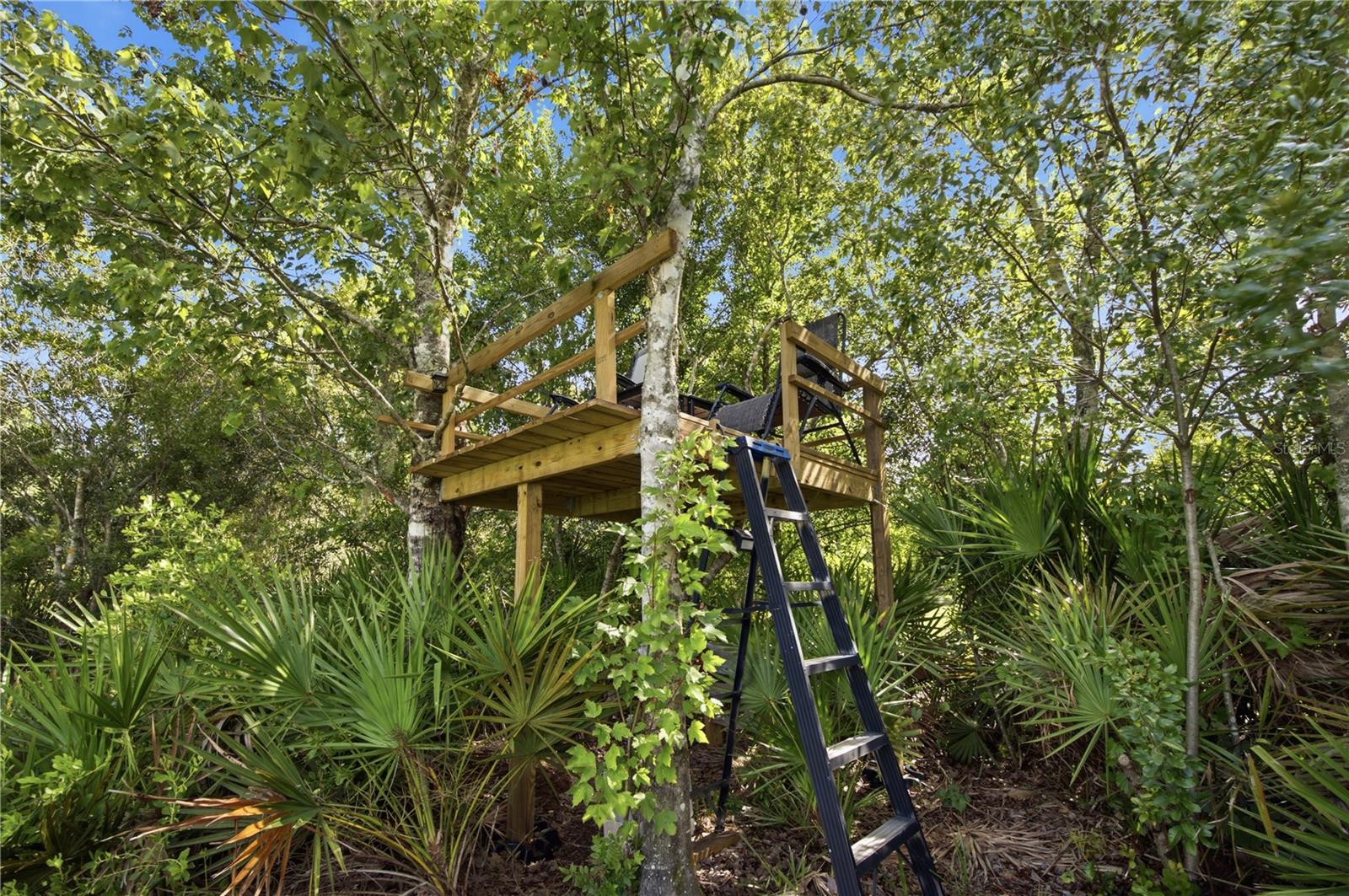 QUAIL HOLLOW PINES - Residential