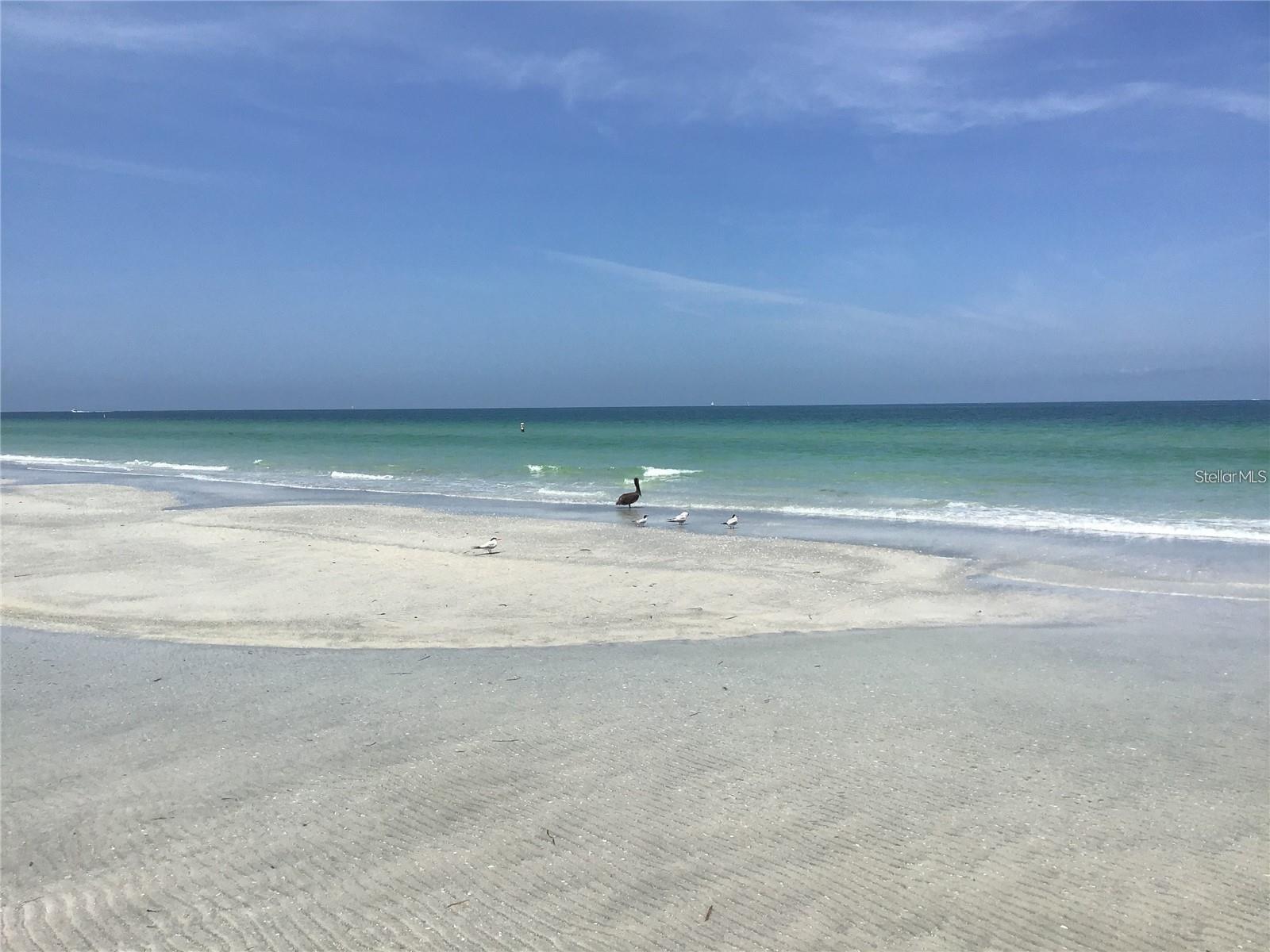 SAND KEY CONDO-SOUTH BEACH 2 - Residential