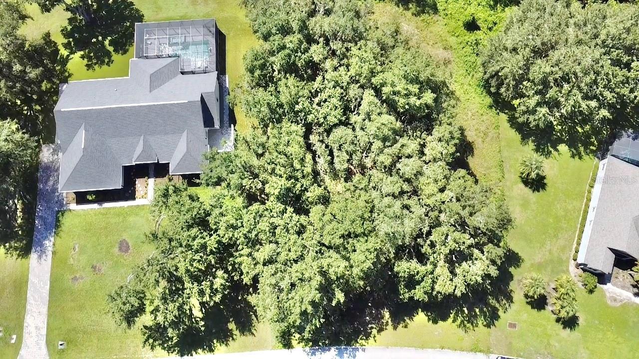 ESTATES AT BLACK BEAR RESERVE - Land