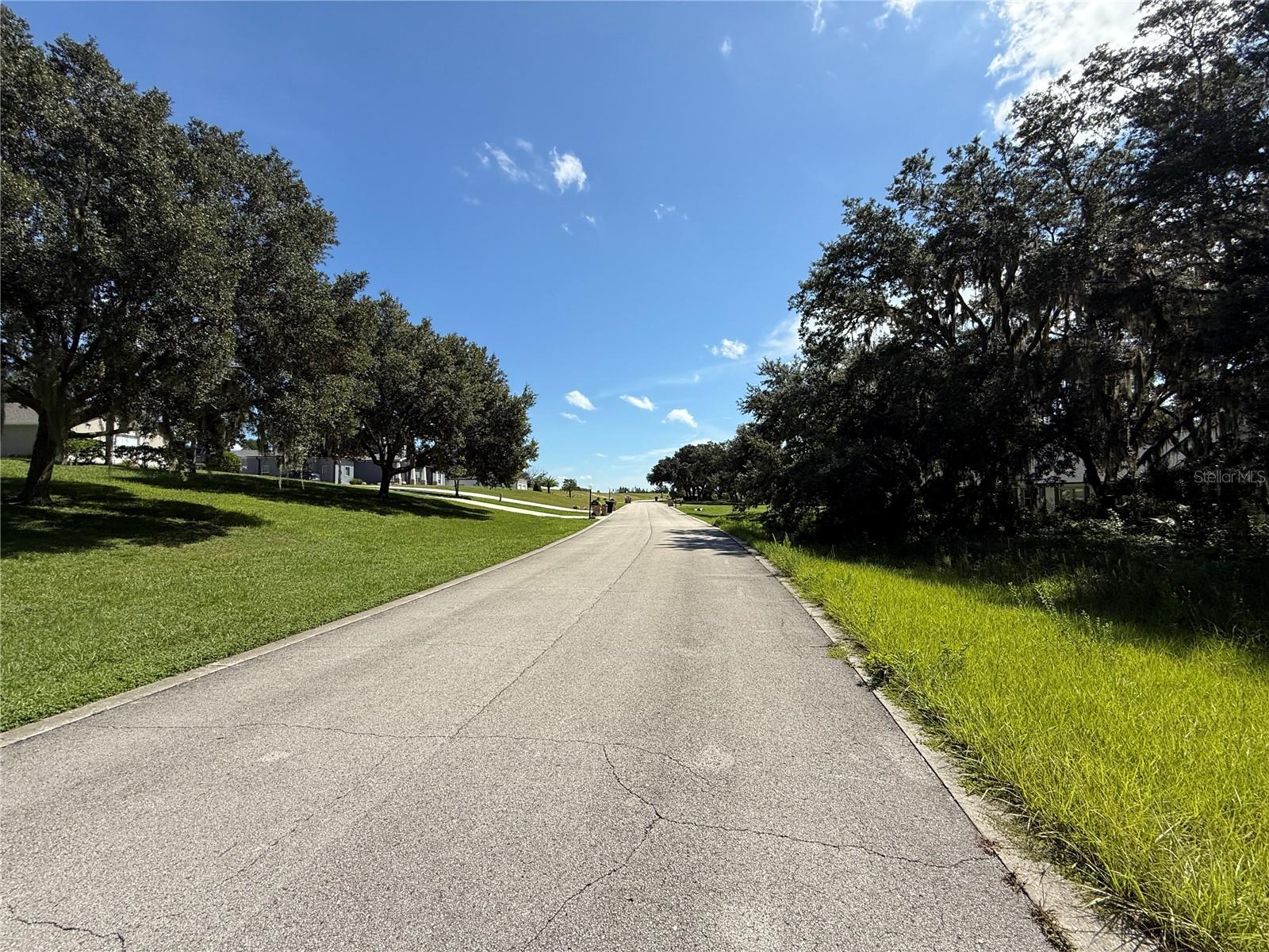 ESTATES AT BLACK BEAR RESERVE - Land