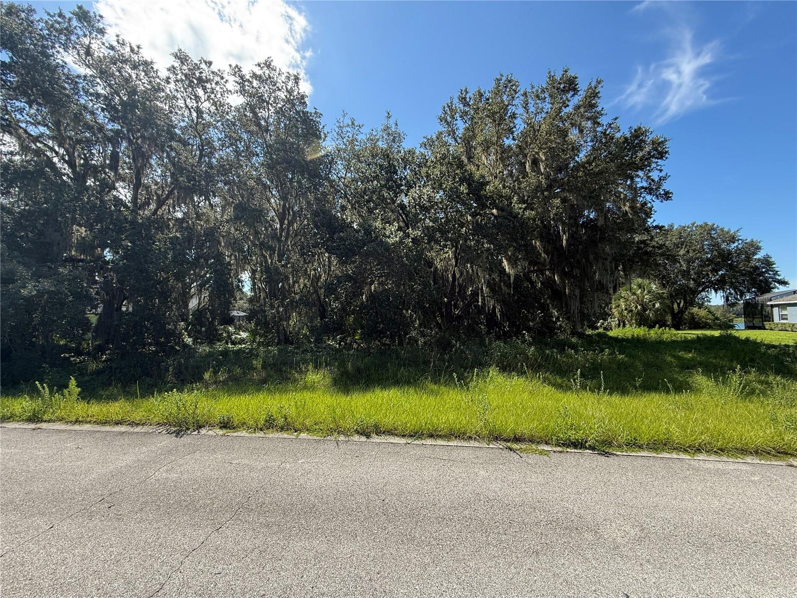 ?????? Build Your Dream Home in Black Bear Reserve – Eustis, FL

Discover the perfect blend of nature and luxury living with this beautiful ¾-acre treed lot in the sought-after Black Bear Reserve golf course community. Nestled among mature trees and surrounded by custom-built homes, this spacious property offers the ideal setting for your forever home or a weekend retreat.

Community Highlights:
 • Championship Golf Course designed by P.B. Dye
 • Tennis courts, playground, and clubhouse
 • Peaceful, well-maintained neighborhood with low HOA fees
 • Convenient to Mount Dora, Eustis, Tavares, and Sanford
 • Easy access to SR 46 & the Wekiva Parkway for a quick commute to Orlando

Why You’ll Love This Lot:
 • Oversized ¾-acre parcel – room for your dream floor plan, pool, and outdoor living
 • Beautiful mature trees for shade, privacy, and curb appeal
 • Located on a quiet street with minimal traffic
 

Bring your own builder and create a home that matches your vision in one of Lake County’s most desirable golf course communities.
