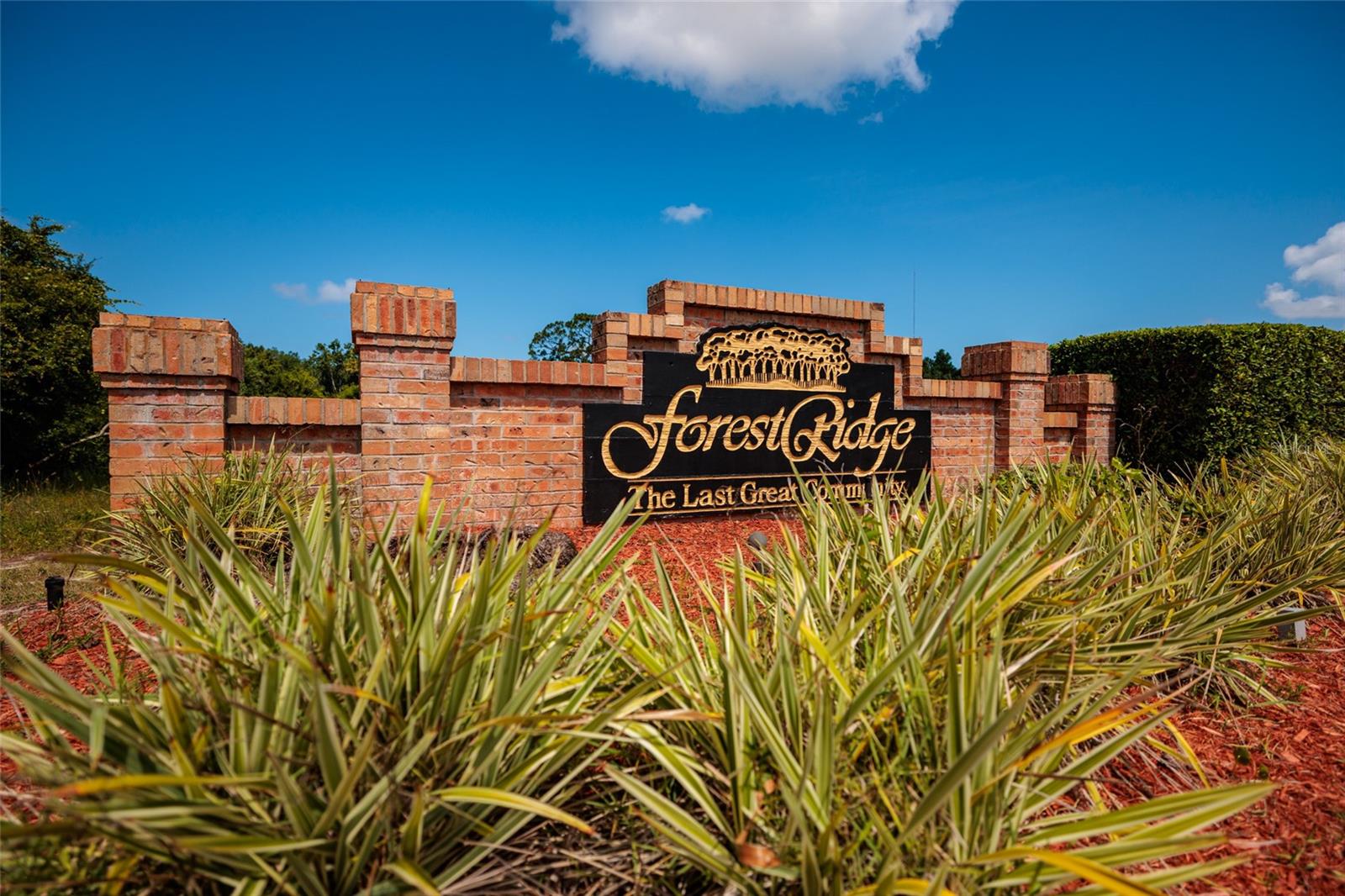 FOREST RIDGE PH TWO - Residential