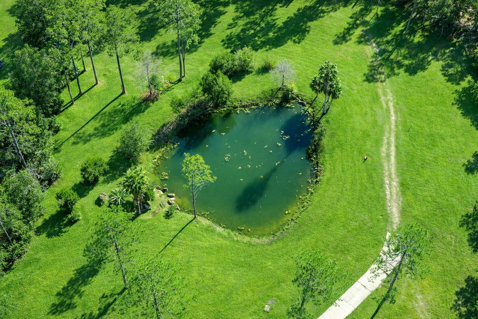 NOT IN SUBDIVISION - Residential
