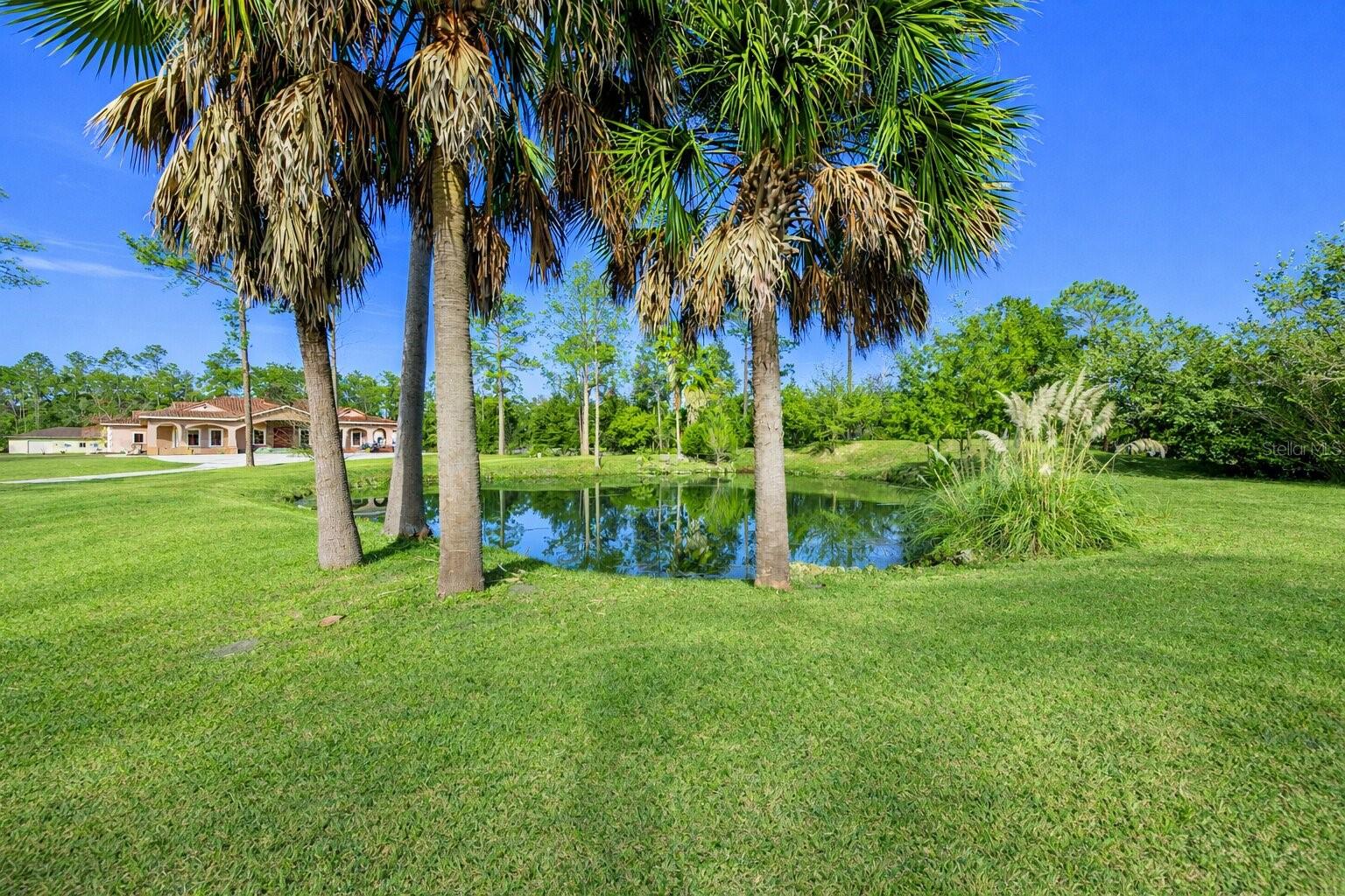 NOT IN SUBDIVISION - Residential