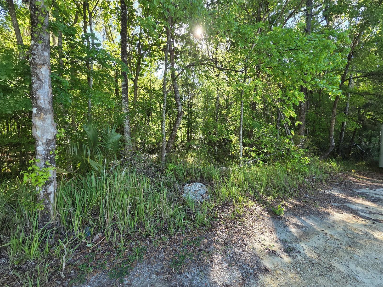 Build your dream home, on this one-third acre lot, located in beautiful Belleview. Situated in a developing area with newly constructed homes. Zoned R1 for single family residences. Close proximity to great schools, shopping centers and other conveniences. Convenient commute Ocala, Summerfield and/or The Villages. NO HOA. Not in a flood zone. Buy and build today!