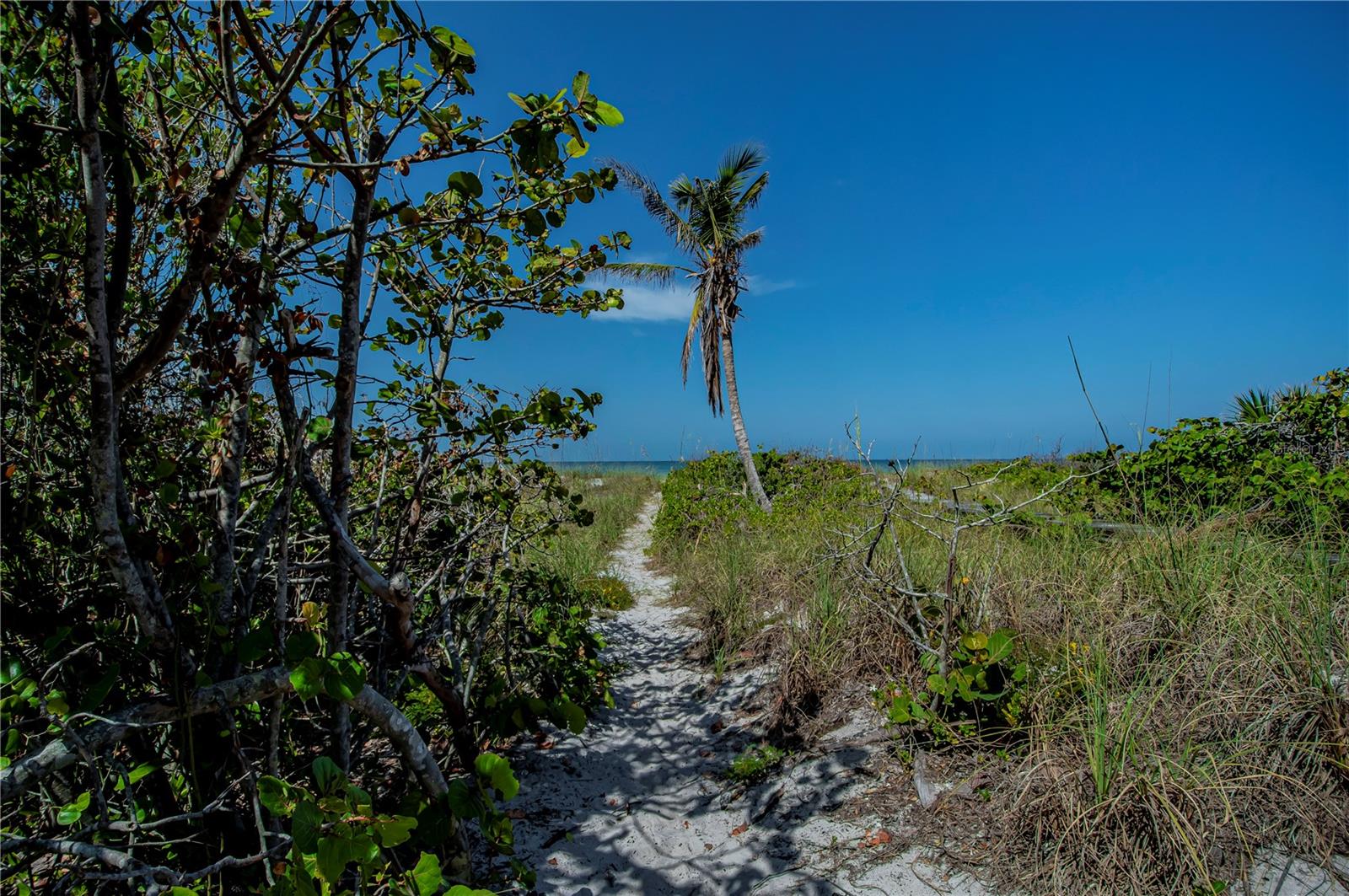 GASPARILLA SHORES - Land