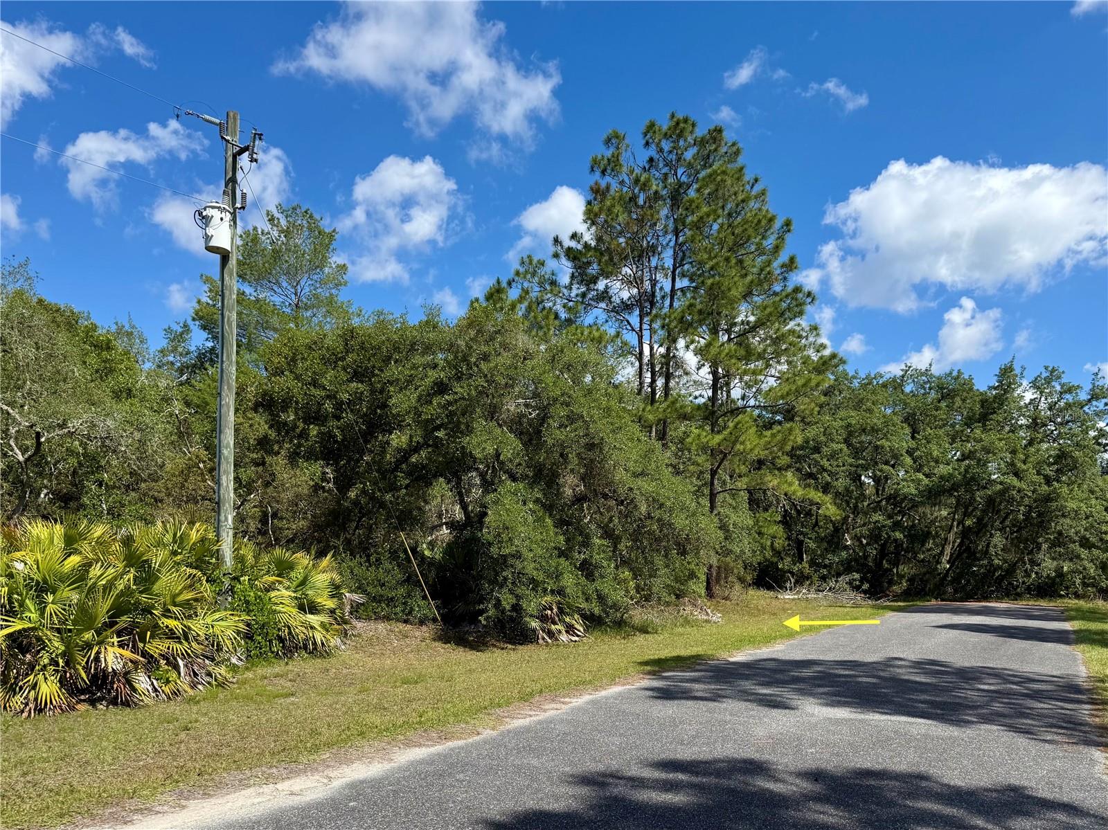 For sale: Lot 1 Jericho Trail, ideally situated on a dead-end street in the peaceful Royal Trails community, with no time limit to build. Enjoy added privacy with a 40-acre property to the north and state land behind the lot, offering beautiful natural views and no rear neighbors. Measuring approximately 148 x 293, this spacious parcel provides plenty of room for your dream home, pool, and detached workshop. Residents enjoy miles of public maintained roads, perfect for biking and walking, along with deeded access to Lake Norris and Lake Marion. The HOA is $92 a year. Royal Trails is a deed-restricted community with no mobile, modular, or manufactured homes permitted. Come see the potential and beauty of this property for yourself—drive by today.