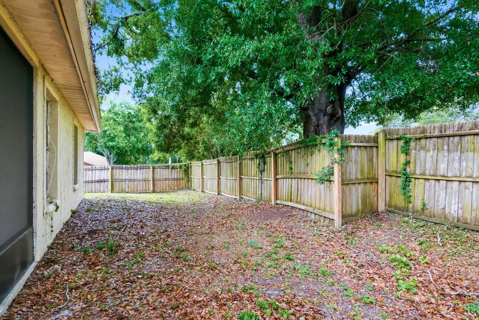 LAKE ST GEORGE-SOUTH - Residential Lease