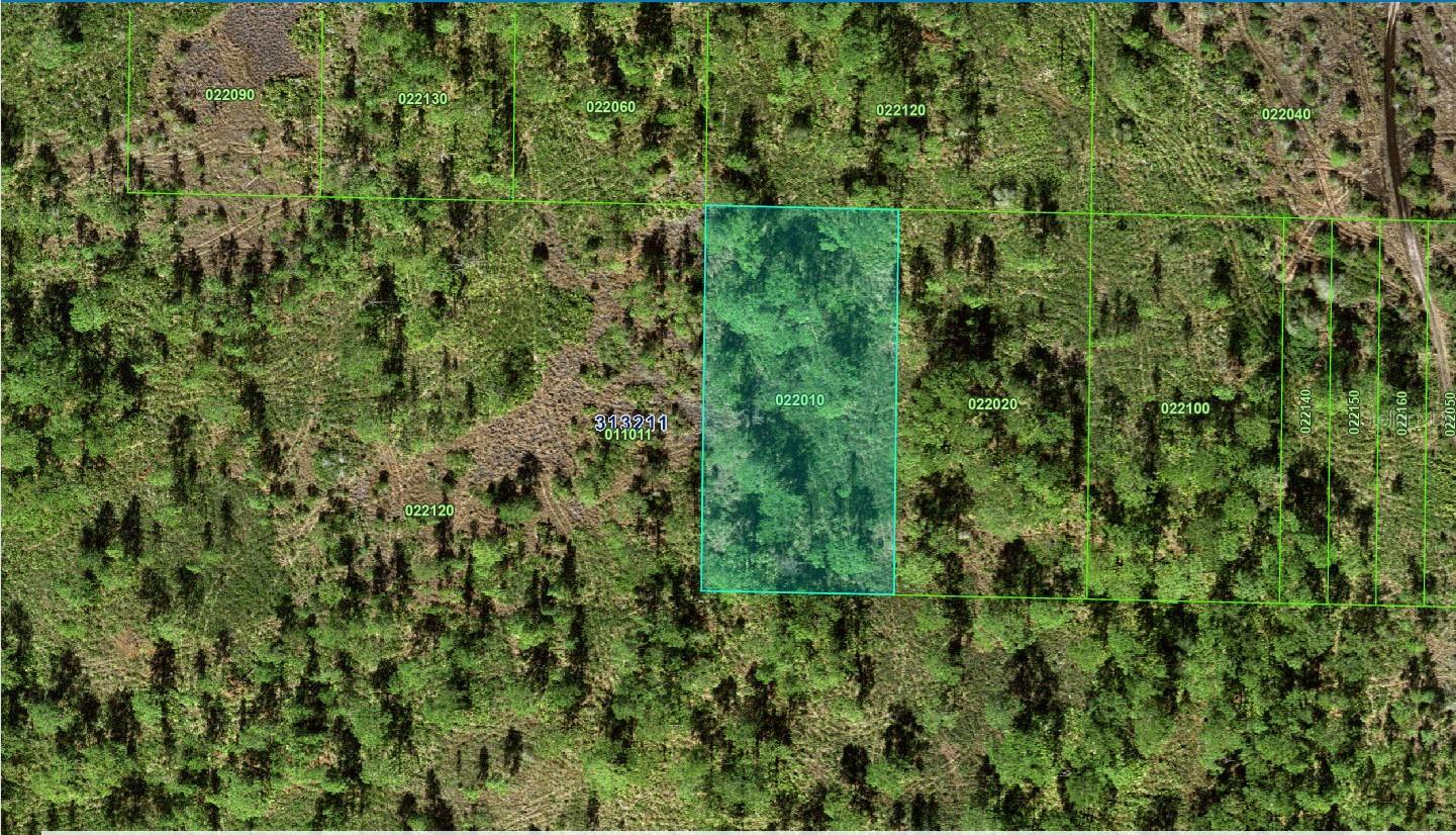 A VACANT LOT IN LAKE WALES IN POLK COUNTY!!! This parcel is located in the River ranch property owners association area. This is not a building lot. It is a prerequisite to join River Ranch. Every .3125 acres allows an entity or couple to pay $175 a year to hunt on 44000 acres