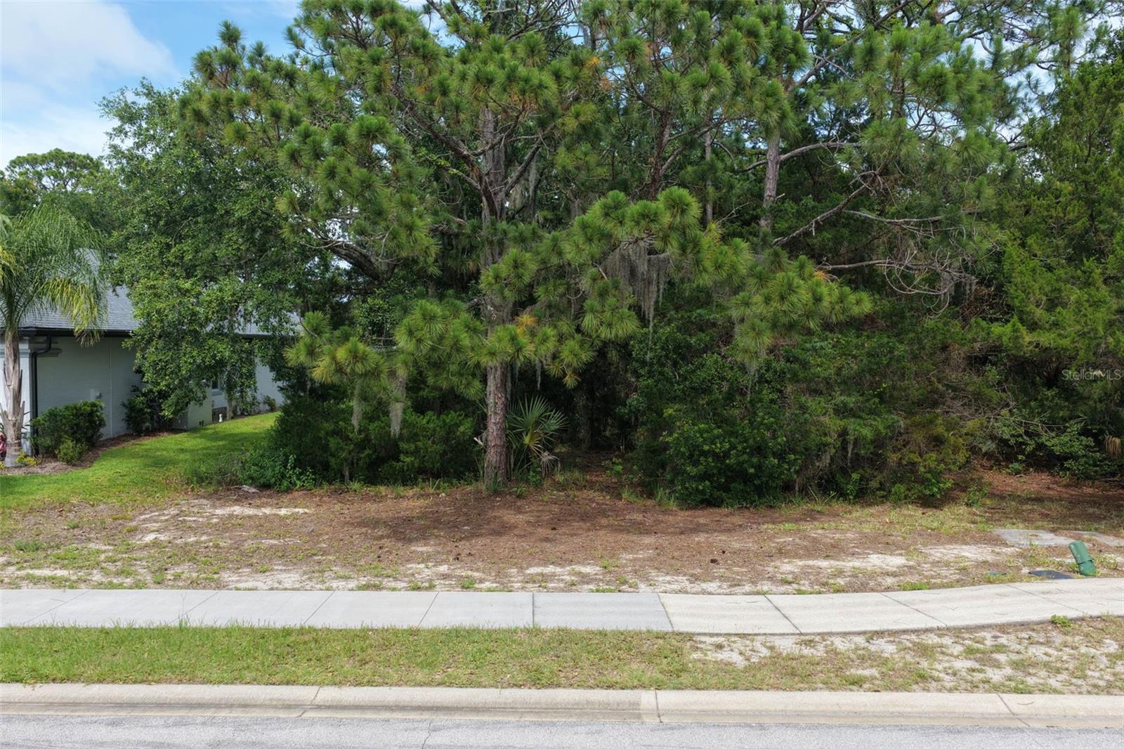 PALM COAST PLANTATION - Land